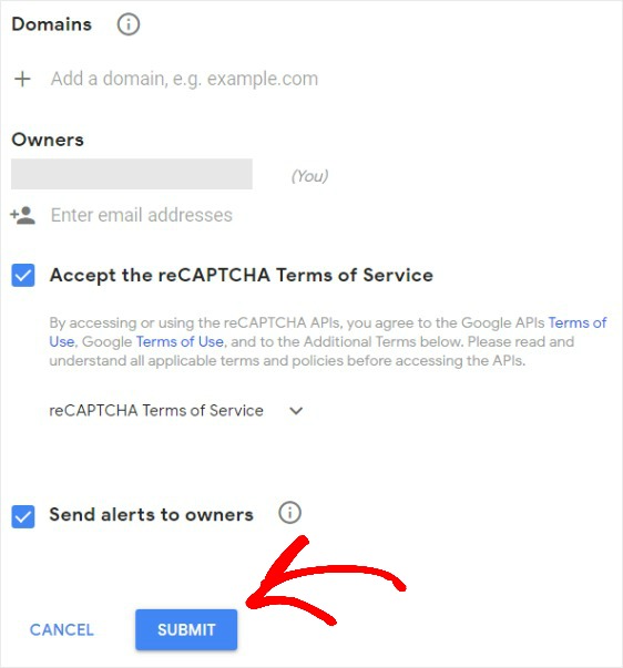 enter the domain in recaptcha