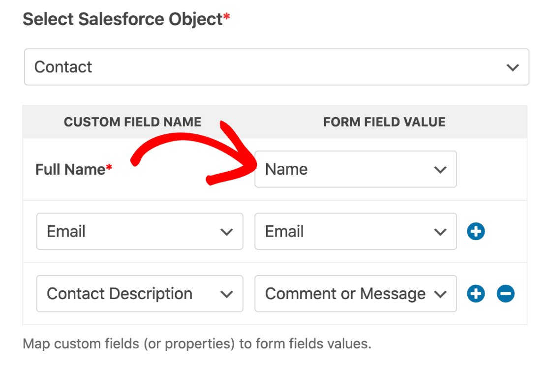 Salesforce add-on - WPForms