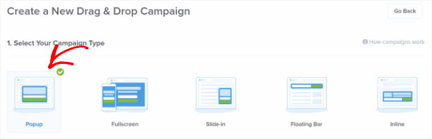 choose campaign type - How to Create a Popup Coupon that Boosts Sales